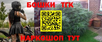 индика Тара